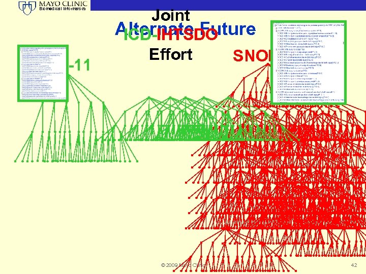 Biomedical Informatics ICD-11 Joint Alternate Future ICD-IHTSDO Effort SNOMED © 2009 Mayo Clinic 42