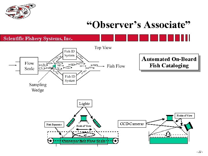 “Observer’s Associate” Scientific Fishery Systems, Inc. Automated On-Board Fish Cataloging Lights Fields of View