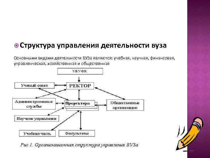  Структура управления деятельности вуза Основными видами деятельности ВУЗа являются: учебная, научная, финансовая, управленческая,