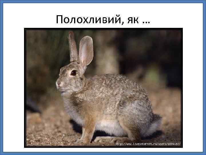 Полохливий, як … 