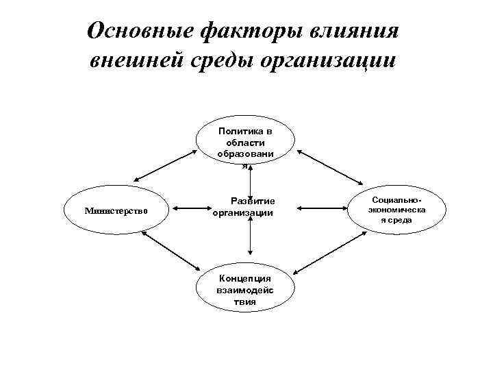 Основные факторы влияния внешней среды организации Политика в области образовани я Министерство Развитие организации