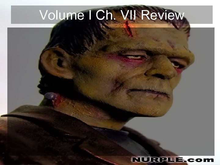 Volume I Ch. VII Review 