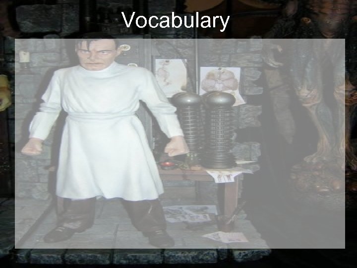 Vocabulary 