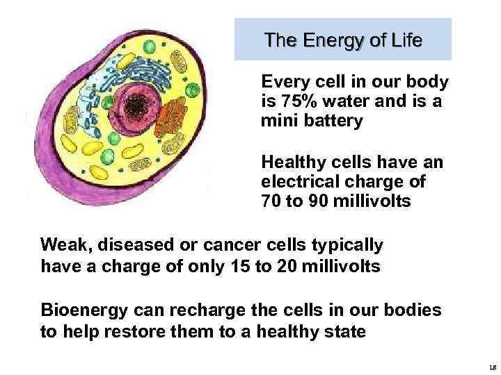 The Energy of Life Every cell in our body is 75% water and is