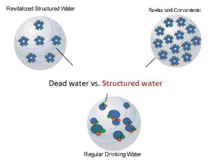 Dead water vs. Structured water 