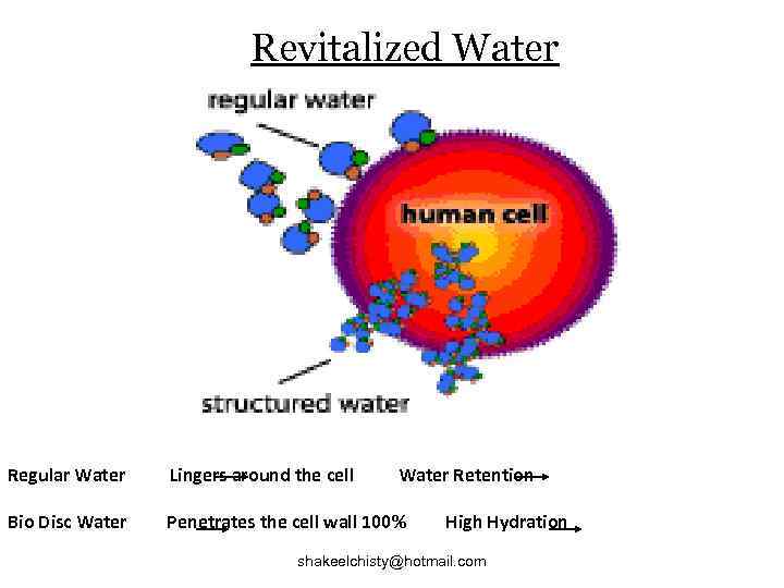 Revitalized Water Regular Water Lingers around the cell Water Retention Bio Disc Water Penetrates