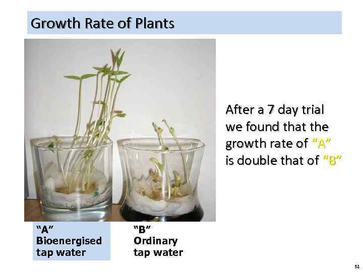 Growth Rate of Plants After a 7 day trial we found that the growth