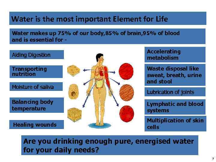 Water is the most important Element for Life Water makes up 75% of our