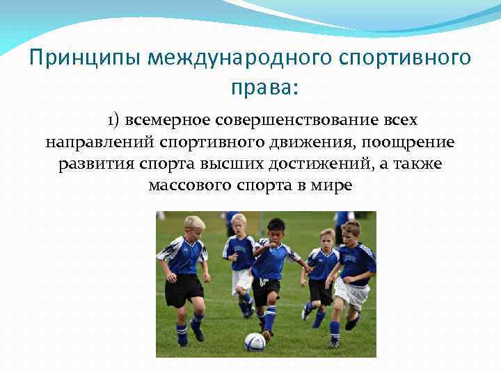 Принципы международного спортивного права: 1) всемерное совершенствование всех направлений спортивного движения, поощрение развития спорта