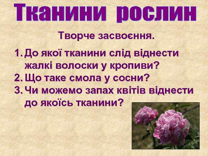 Творче засвоєння. 1. До якої тканини слід віднести жалкі волоски у кропиви? 2. Що