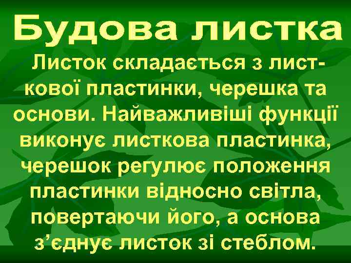 Листок складається з листкової пластинки, черешка та основи. Найважливіші функції виконує листкова пластинка, черешок
