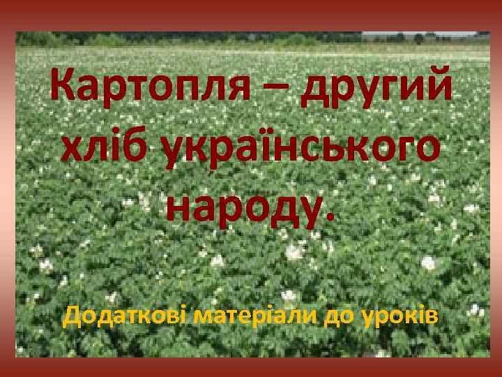 Картопля – другий хліб українського народу. Додаткові матеріали до уроків 