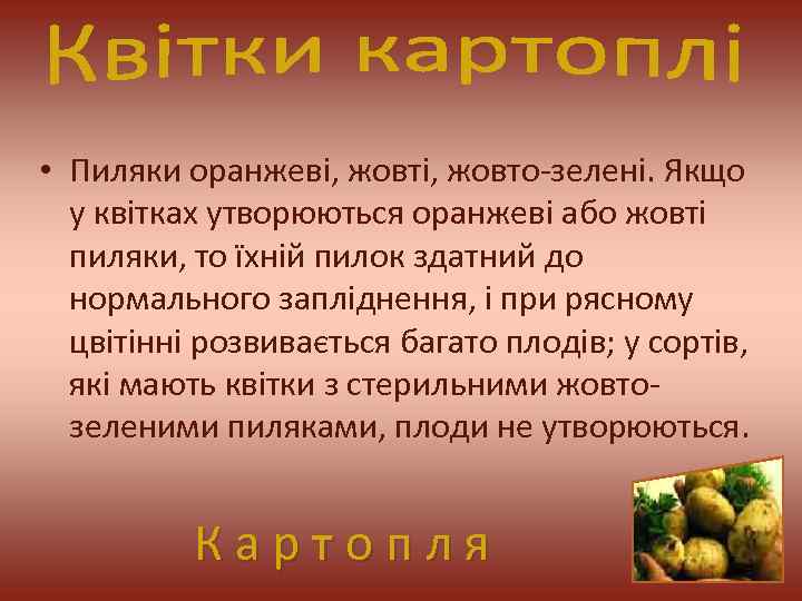  • Пиляки оранжеві, жовто-зелені. Якщо у квітках утворюються оранжеві або жовті пиляки, то