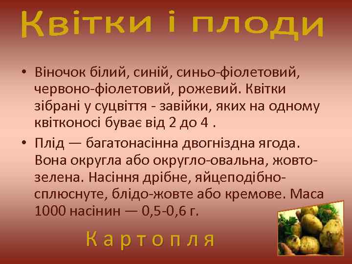  • Віночок білий, синій, синьо-фіолетовий, червоно-фіолетовий, рожевий. Квітки зібрані у суцвіття - завійки,