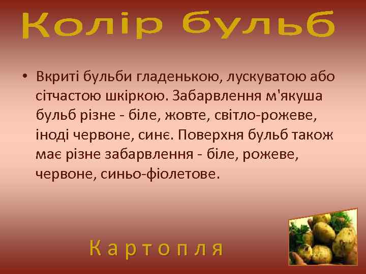  • Вкриті бульби гладенькою, лускуватою або сітчастою шкіркою. Забарвлення м'якуша бульб різне -