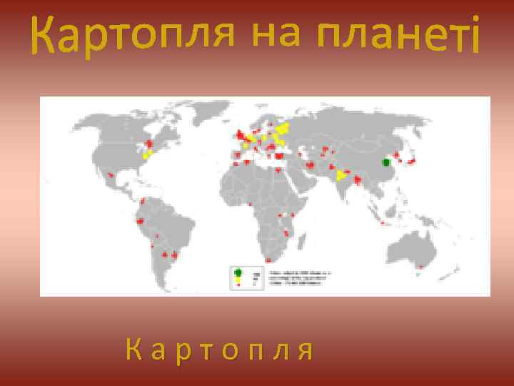 К а р т о п л я 