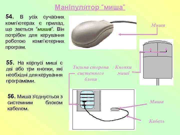 Маніпулятор “миша” 54. В усіх сучасних комп’ютерах є прилад, що зветься “миша”. Він потрібен