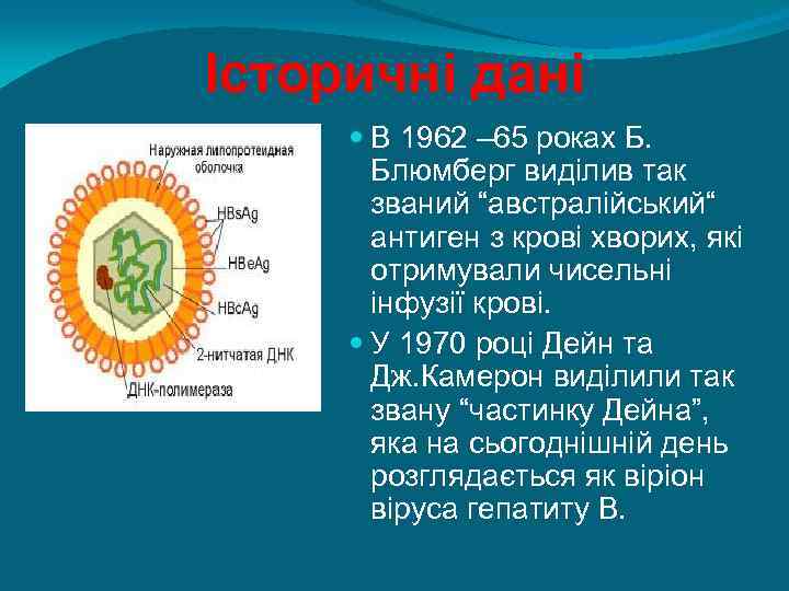 Історичні дані В 1962 – 65 роках Б. Блюмберг виділив так званий “австралійський“ антиген