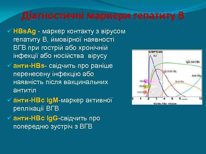 Діагностичні маркери гепатиту В ü HBs. Ag - маркер контакту з вірусом гепатиту В,