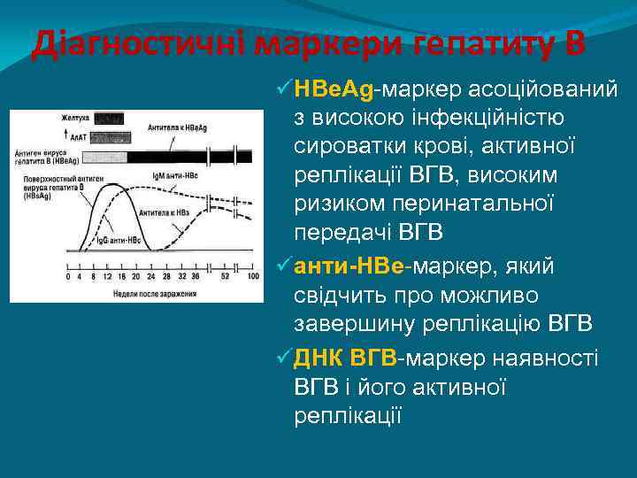 Діагностичні маркери гепатиту В ü HBe. Ag-маркер асоційований з високою інфекційністю сироватки крові, активної