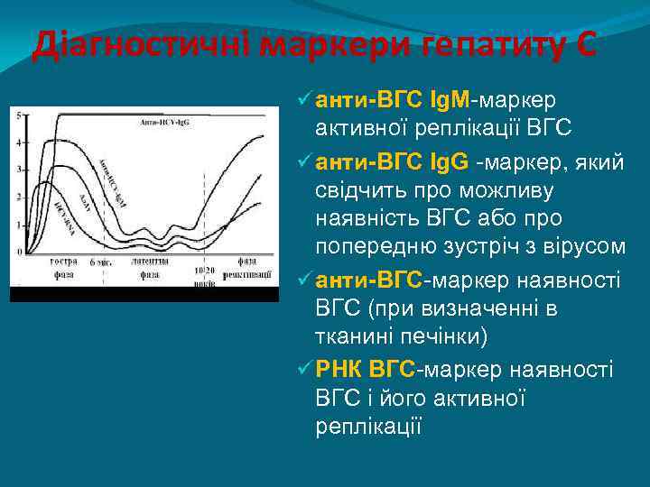 Діагностичні маркери гепатиту С ü анти-ВГС Ig. M-маркер активної реплікації ВГС ü анти-ВГС Ig.