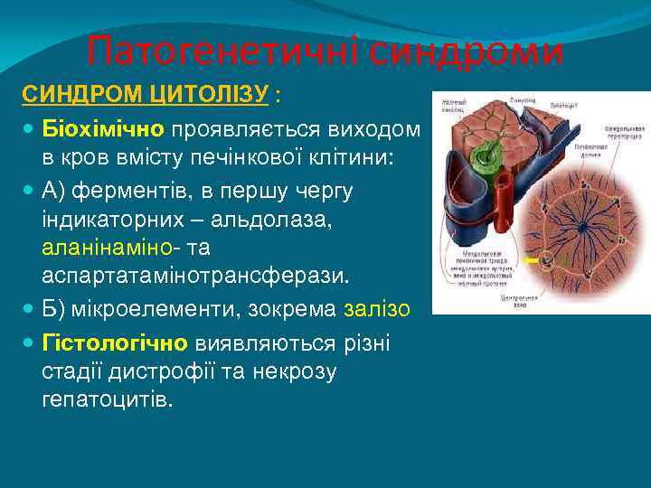 Патогенетичні синдроми СИНДРОМ ЦИТОЛІЗУ : Біохімічно проявляється виходом в кров вмісту печінкової клітини: А)