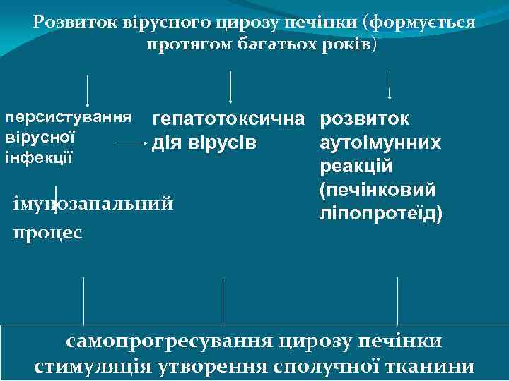 Розвиток вірусного цирозу печінки (формується протягом багатьох років) персистування вірусної інфекції гепатотоксична розвиток дія