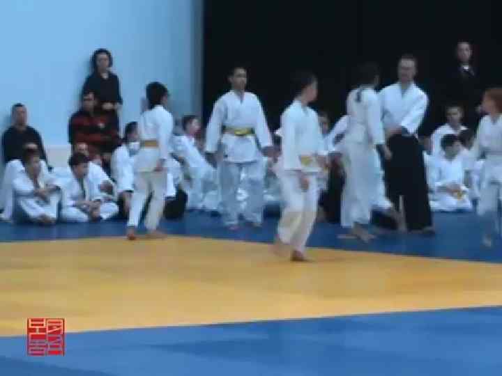 ØНедавно мы ездили в Тюмень на Новогодний детский фестиваль Айкидо «Тюмень 2013» . Получили