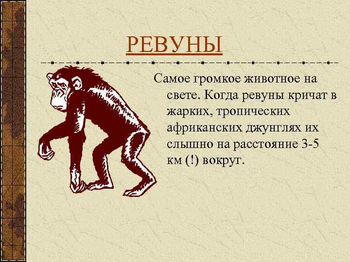РЕВУНЫ Самое громкое животное на свете. Когда ревуны кричат в жарких, тропических африканских джунглях