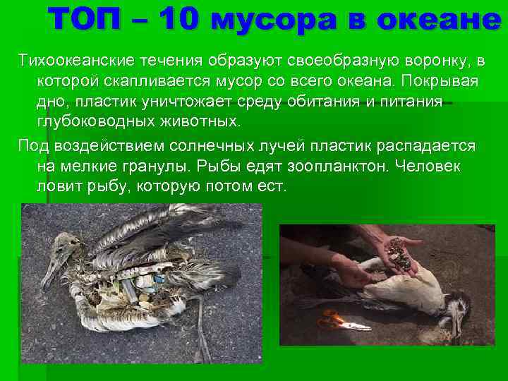 ТОП – 10 мусора в океане Тихоокеанские течения образуют своеобразную воронку, в которой скапливается