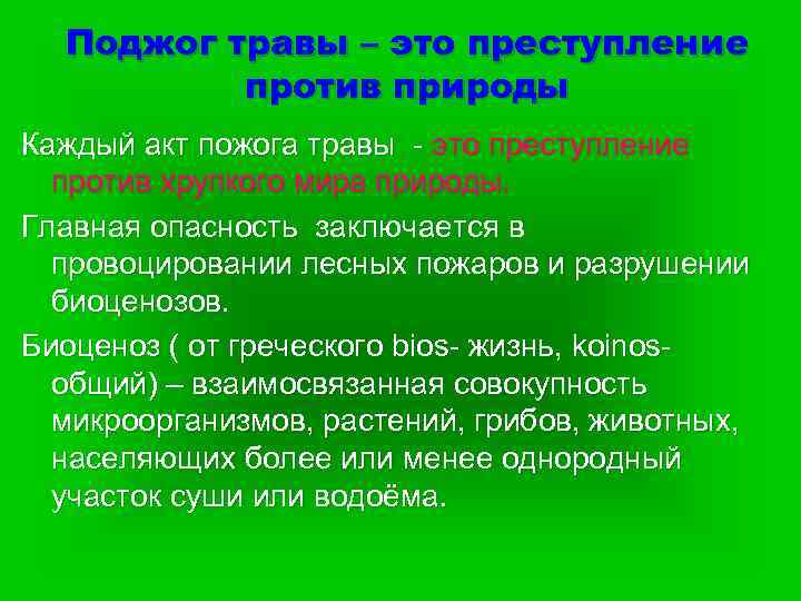 Поджог травы – это преступление против природы Каждый акт пожога травы - это преступление