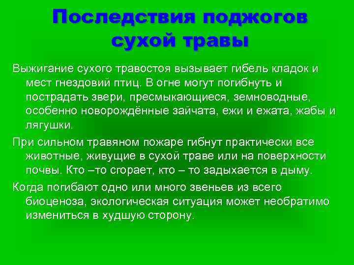 Последствия поджогов сухой травы Выжигание сухого травостоя вызывает гибель кладок и мест гнездовий птиц.