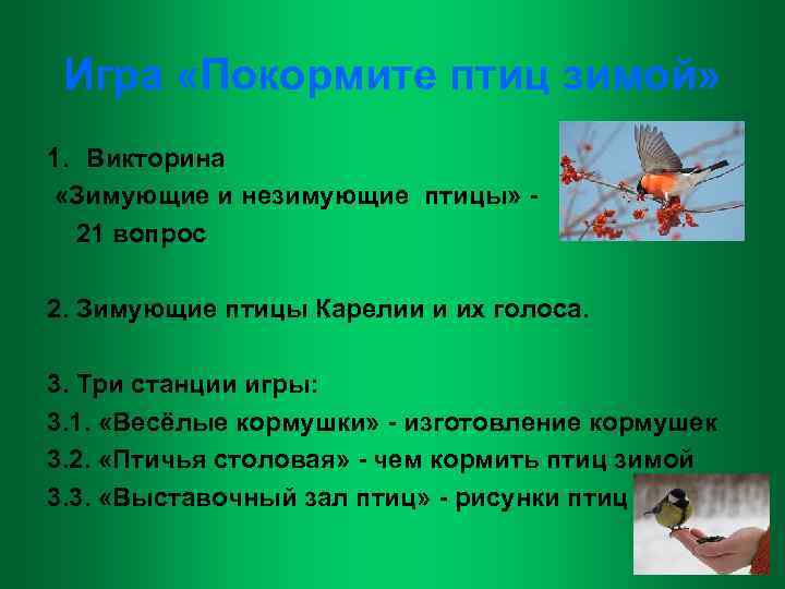 Игра «Покормите птиц зимой» 1. Викторина «Зимующие и незимующие птицы» 21 вопрос 2. Зимующие