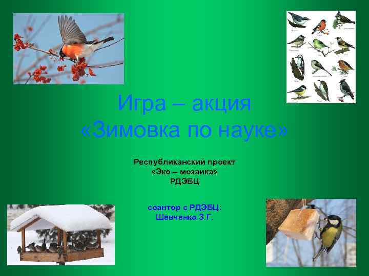 Игра – акция «Зимовка по науке» Республиканский проект «Эко – мозаика» РДЭБЦ соавтор с