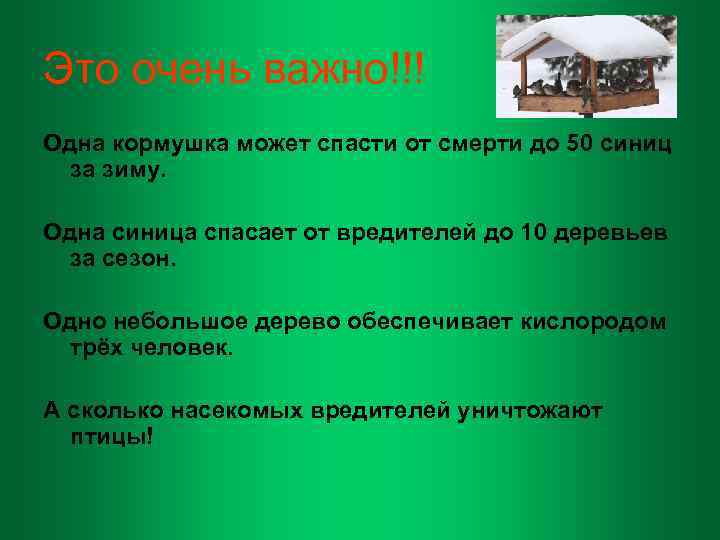 Это очень важно!!! Одна кормушка может спасти от смерти до 50 синиц за зиму.