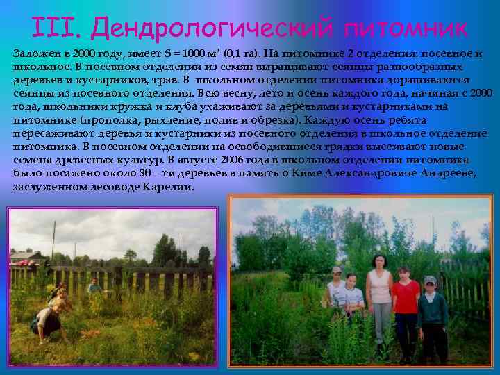 III. Дендрологический питомник Заложен в 2000 году, имеет S = 1000 м 2 (0,