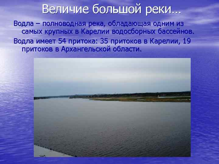 Величие большой реки… Водла – полноводная река, обладающая одним из самых крупных в Карелии