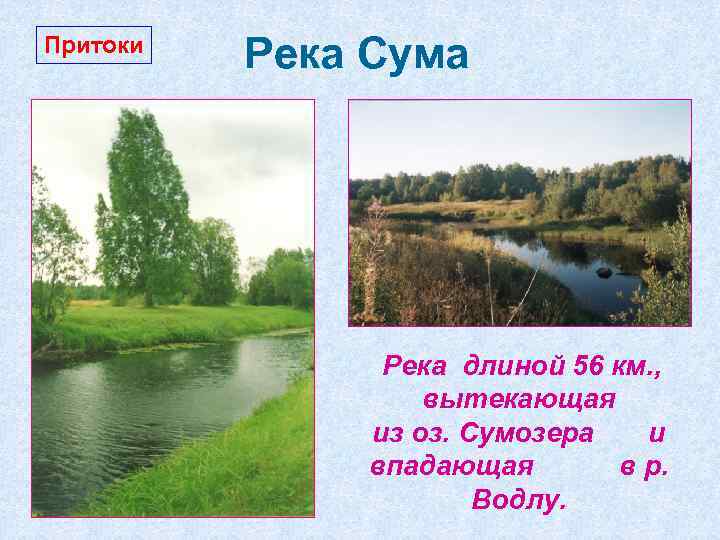 Притоки Река Сума Река длиной 56 км. , вытекающая из оз. Сумозера и впадающая