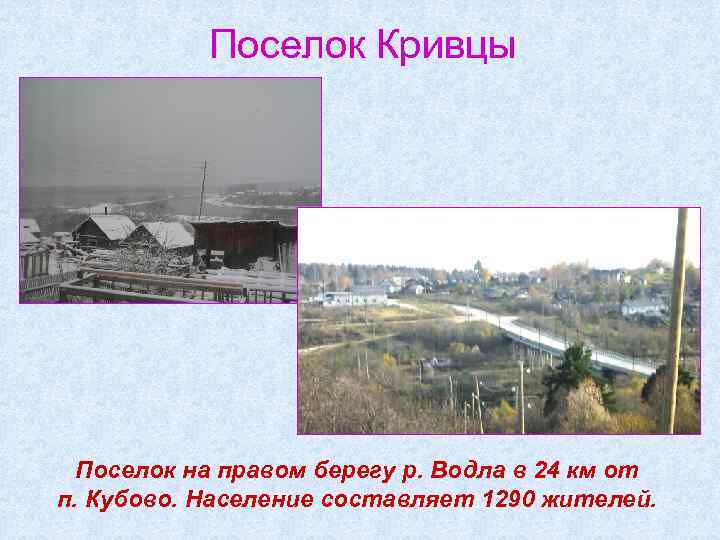 Поселок Кривцы Поселок на правом берегу р. Водла в 24 км от п. Кубово.