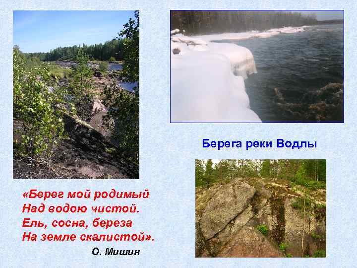 Берега реки Водлы «Берег мой родимый Над водою чистой. Ель, сосна, береза На земле
