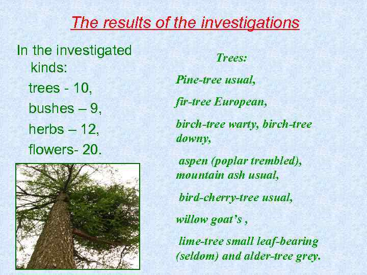 The results of the investigations In the investigated kinds: trees - 10, bushes –