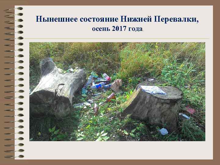 Нынешнее состояние Нижней Перевалки, осень 2017 года 