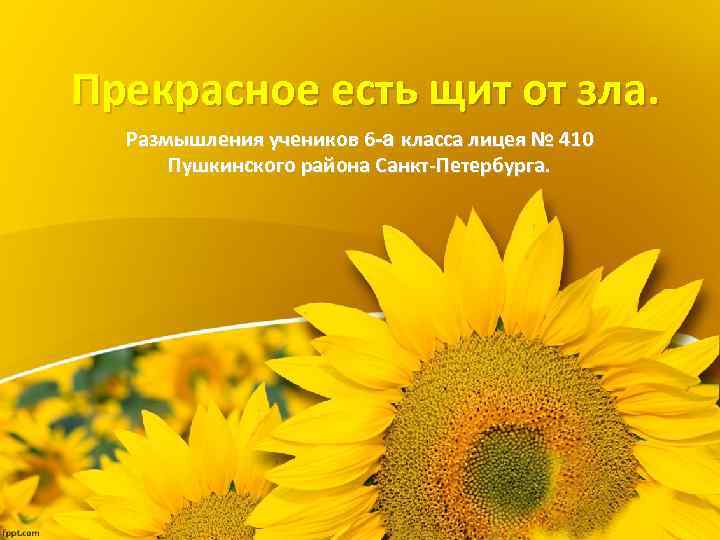 Прекрасное есть щит от зла. Размышления учеников 6 -а класса лицея № 410 Пушкинского