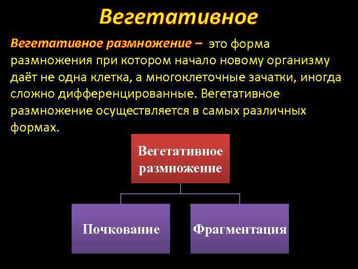 Вегетативное размножение – это форма размножения при котором начало новому организму даёт не одна