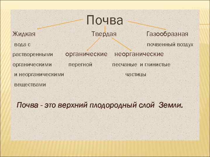 Почва Жидкая Твердая Газообразная вода с растворенными органическими и неорганическими почвенный воздух органические перегной
