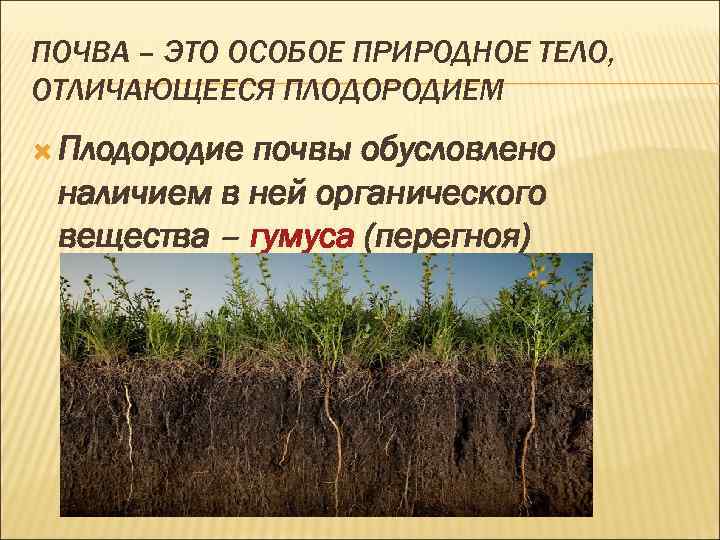 Как называется плодородный слой содержащий органические соединения