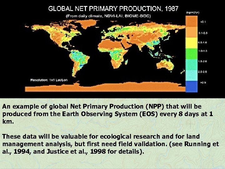 An example of global Net Primary Production (NPP) that will be produced from the