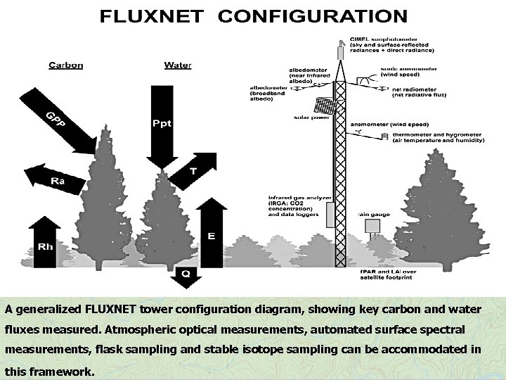 A generalized FLUXNET tower configuration diagram, showing key carbon and water fluxes measured. Atmospheric