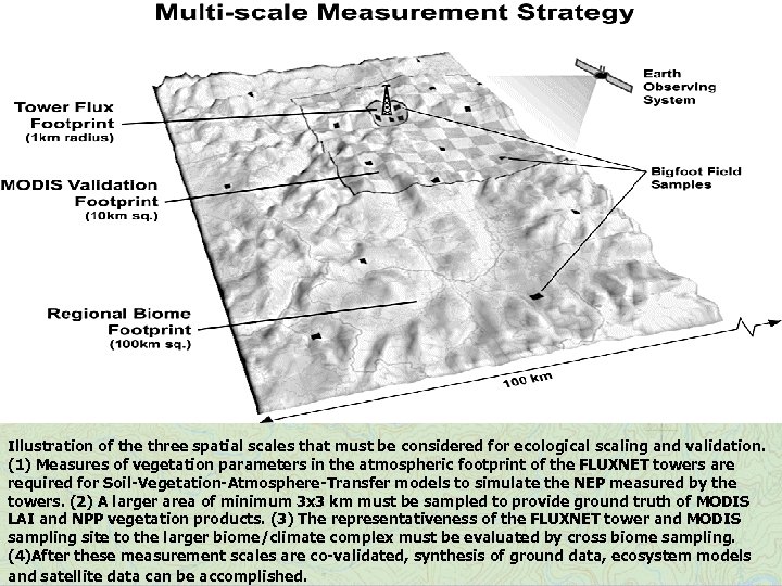 Illustration of the three spatial scales that must be considered for ecological scaling and