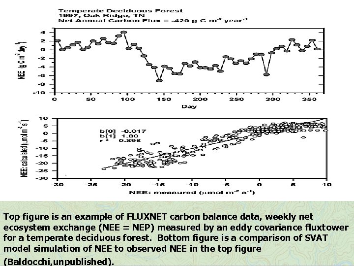 Top figure is an example of FLUXNET carbon balance data, weekly net ecosystem exchange